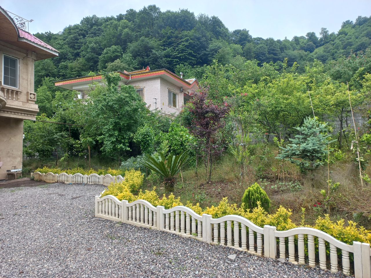 اجاره ویلا اسماعیل در لاهیجان