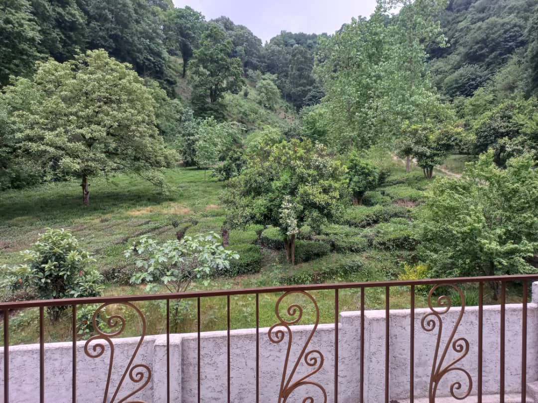 اجاره ولحد زابلی لاهیجان